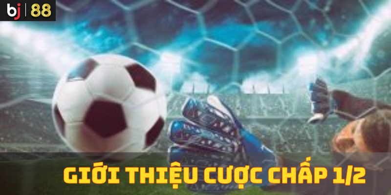 Giới thiệu về cược chấp 1/2